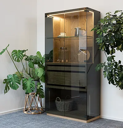 Vitrine aus Holz und Glas
