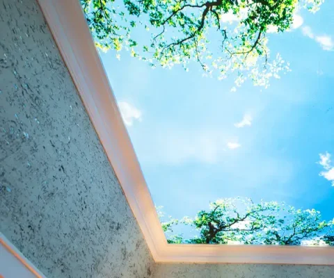 Eine von hinten beleuchtete Decke mit einem Fotomotiv, das den Blick nach oben in Bäume und einen blauen Himmel mit kleinen Wolken zeigt. Die Ränder sind mit Stuckleisten verziert, die Wände in rauer Sichtbeton-Optik.